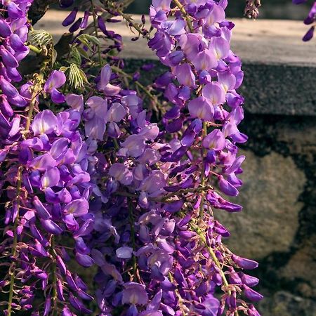 Il Glicine B&B Ristorante Cazzago San Martino Exteriör bild
