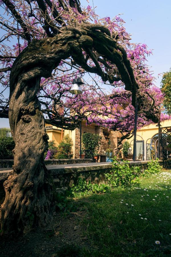 Il Glicine B&B Ristorante Cazzago San Martino Exteriör bild
