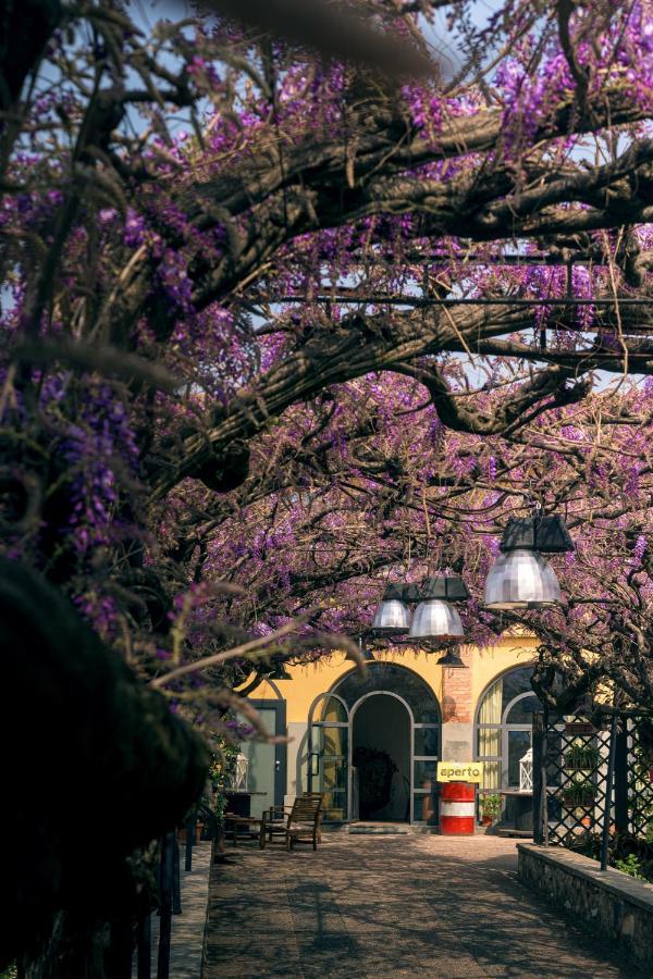 Il Glicine B&B Ristorante Cazzago San Martino Exteriör bild