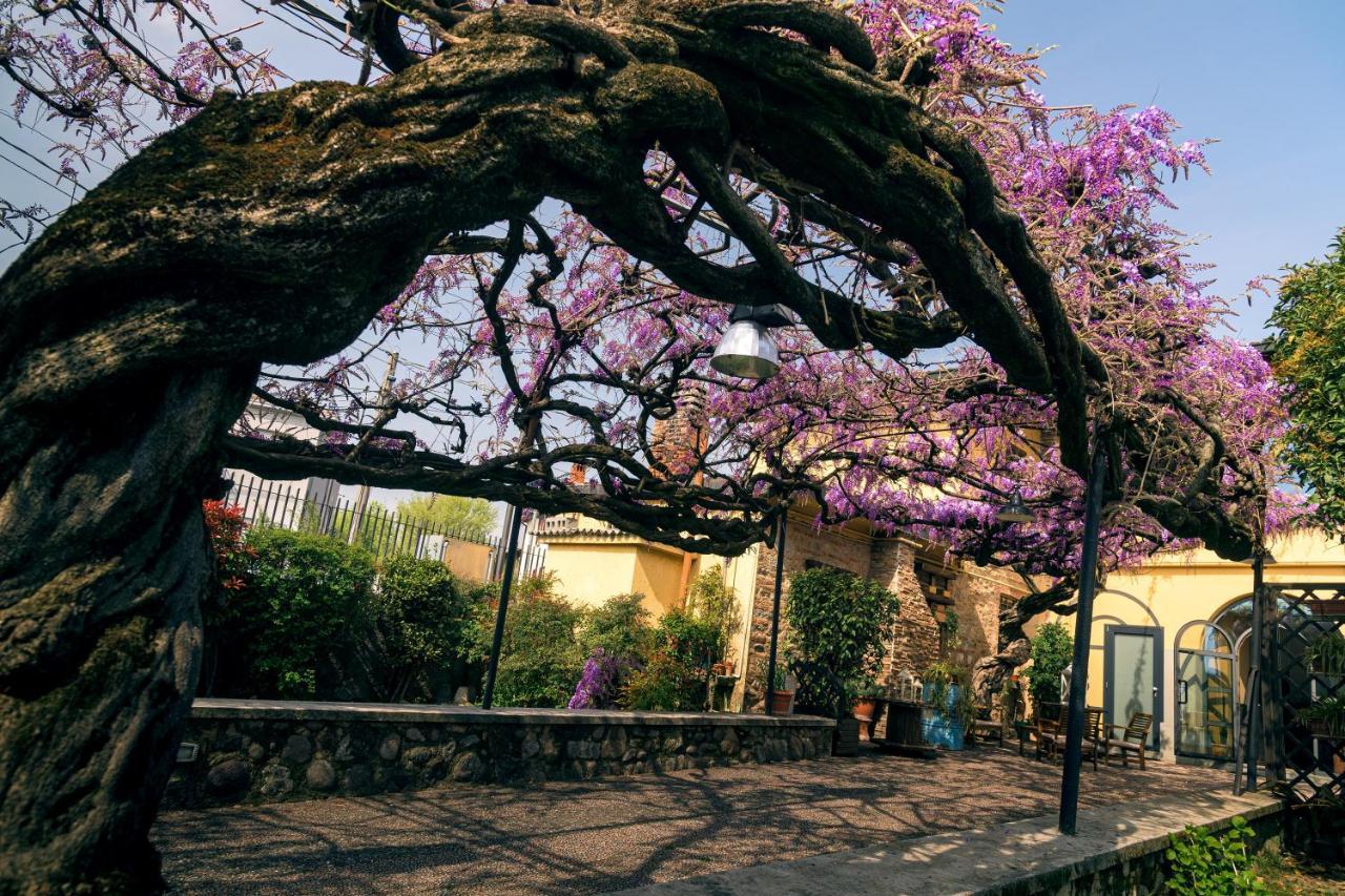 Il Glicine B&B Ristorante Cazzago San Martino Exteriör bild