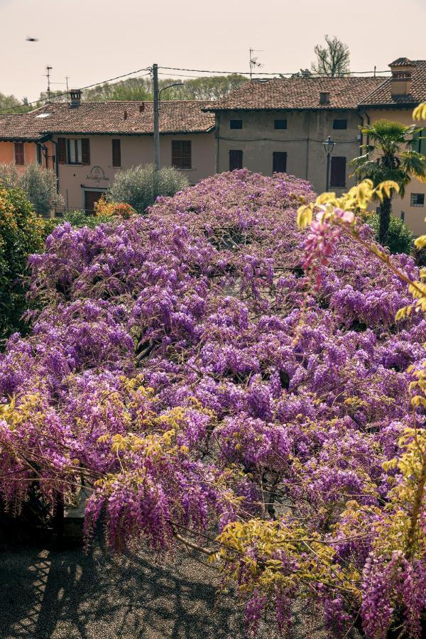 Il Glicine B&B Ristorante Cazzago San Martino Exteriör bild
