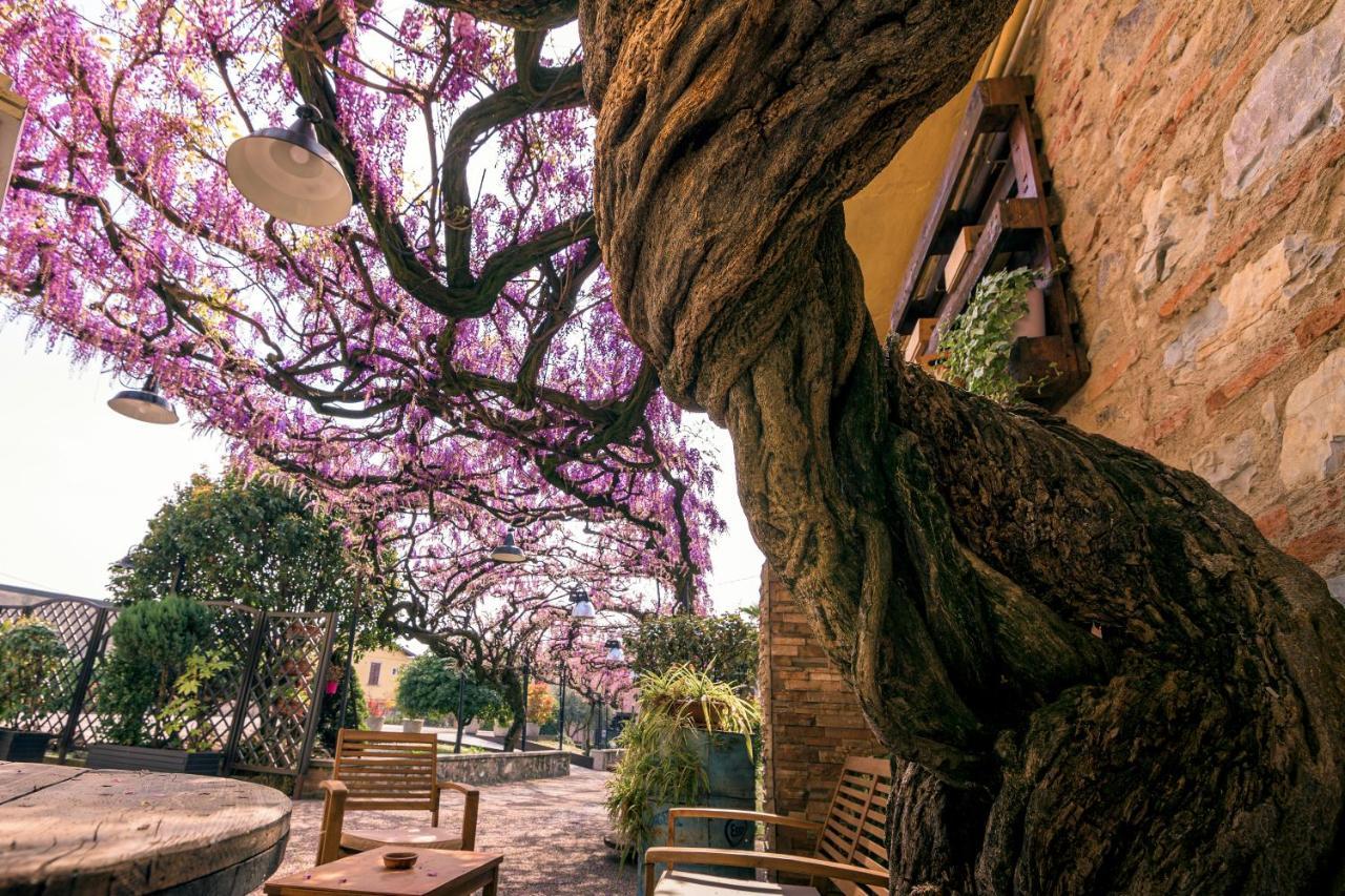 Il Glicine B&B Ristorante Cazzago San Martino Exteriör bild