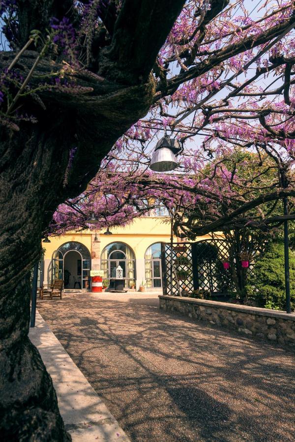 Il Glicine B&B Ristorante Cazzago San Martino Exteriör bild